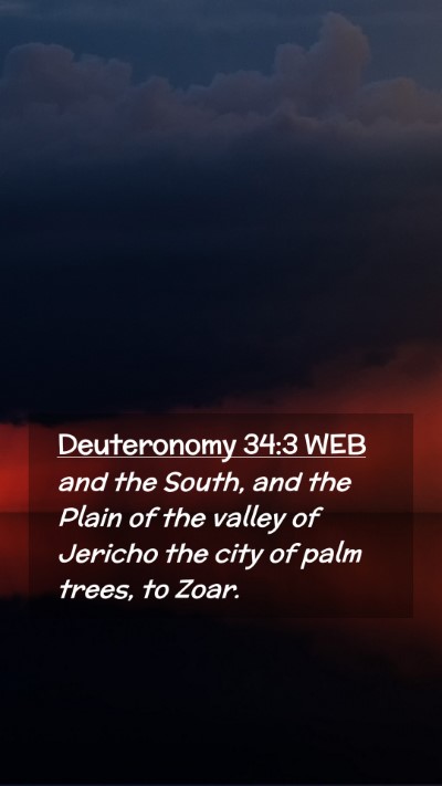Picture 02 - Deuteronomy 34:3 WEB Mobile Phone Wallpaper - and the South, and the Plain of the valley of - Mobile Bible Verse Wallpaper