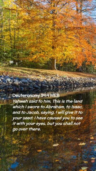 Picture 02 - Deuteronomy 34:4 WEB Mobile Phone Wallpaper - Yahweh said to him, This is the land which I - Mobile Bible Verse Wallpaper