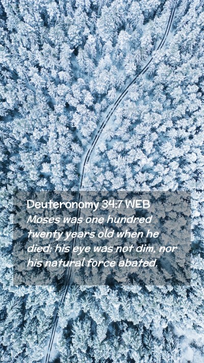 Picture 02 - Deuteronomy 34:7 WEB Mobile Phone Wallpaper - Moses was one hundred twenty years old when he - Mobile Bible Verse Wallpaper