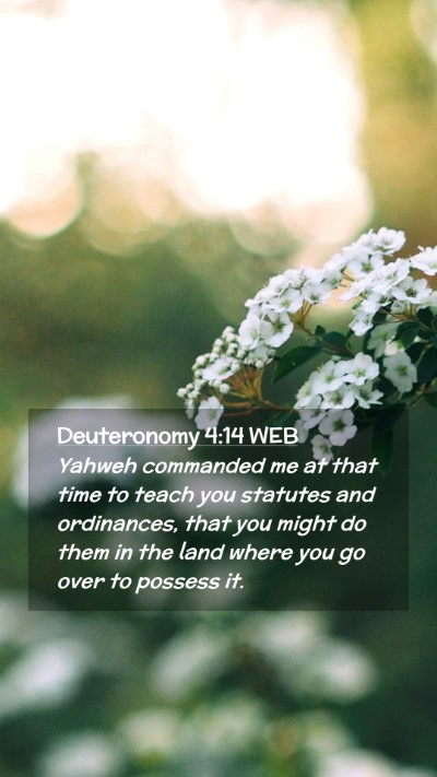Picture 02 - Deuteronomy 4:14 WEB Mobile Phone Wallpaper - Yahweh commanded me at that time to teach you - Mobile Bible Verse Wallpaper