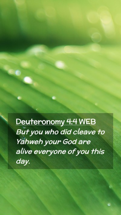 Picture 02 - Deuteronomy 4:4 WEB Mobile Phone Wallpaper - But you who did cleave to Yahweh your God are - Mobile Bible Verse Wallpaper