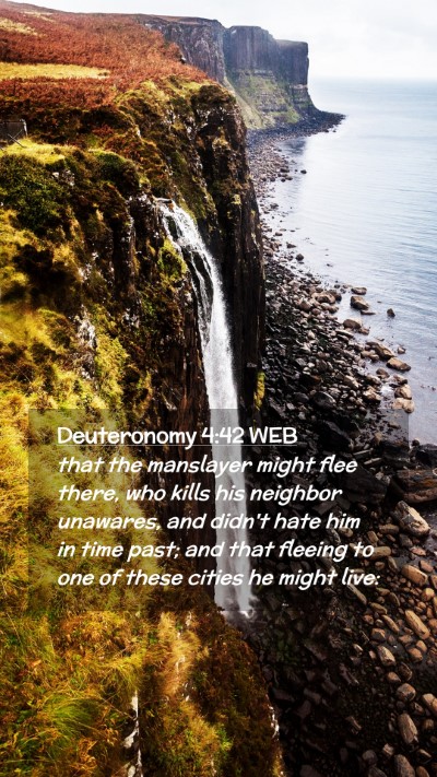Picture 02 - Deuteronomy 4:42 WEB Mobile Phone Wallpaper - that the manslayer might flee there, who kills - Mobile Bible Verse Wallpaper