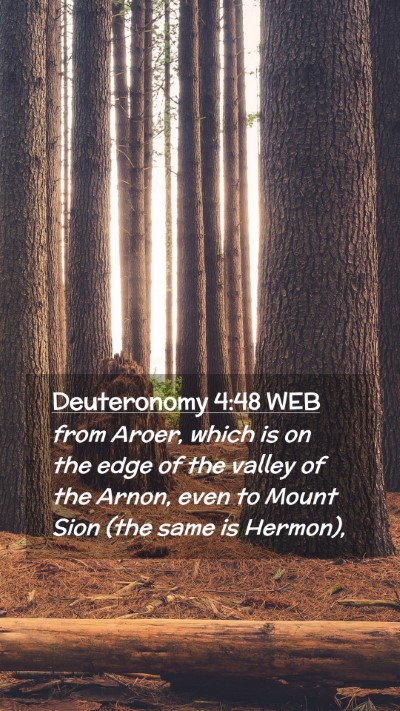 Picture 02 - Deuteronomy 4:48 WEB Mobile Phone Wallpaper - from Aroer, which is on the edge of the valley of - Mobile Bible Verse Wallpaper