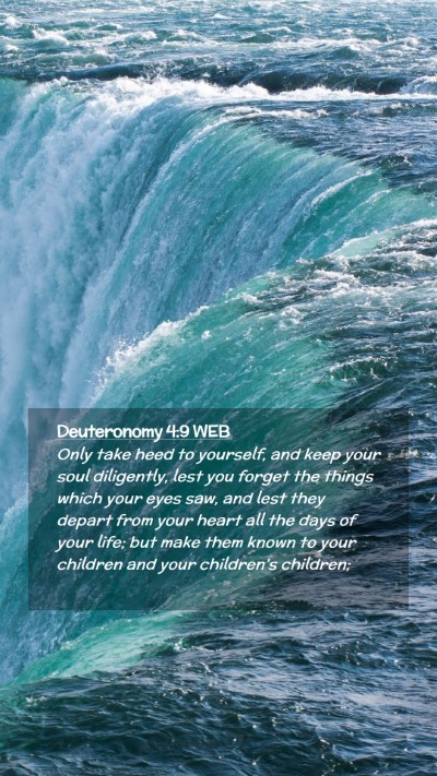 Picture 02 - Deuteronomy 4:9 WEB Mobile Phone Wallpaper - Only take heed to yourself, and keep your soul - Mobile Bible Verse Wallpaper