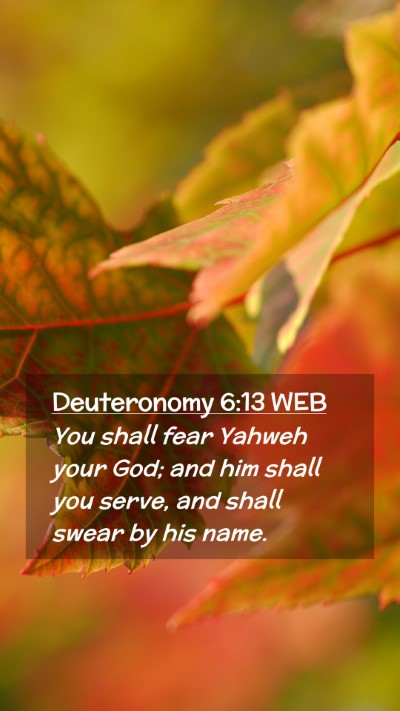 Picture 02 - Deuteronomy 6:13 WEB Mobile Phone Wallpaper - You shall fear Yahweh your God; and him shall you - Mobile Bible Verse Wallpaper
