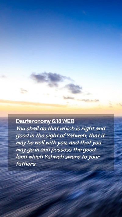 Picture 02 - Deuteronomy 6:18 WEB Mobile Phone Wallpaper - You shall do that which is right and good in the - Mobile Bible Verse Wallpaper