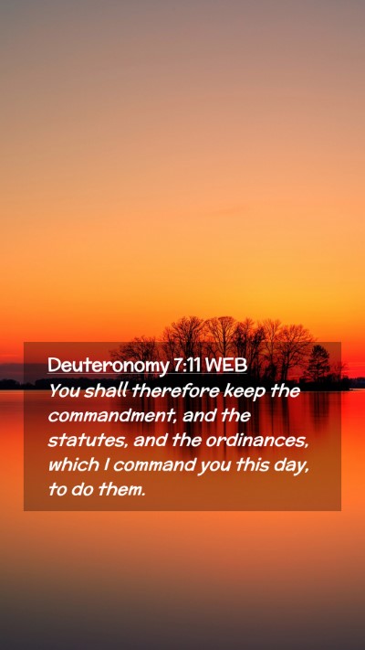Picture 02 - Deuteronomy 7:11 WEB Mobile Phone Wallpaper - You shall therefore keep the commandment, and the - Mobile Bible Verse Wallpaper
