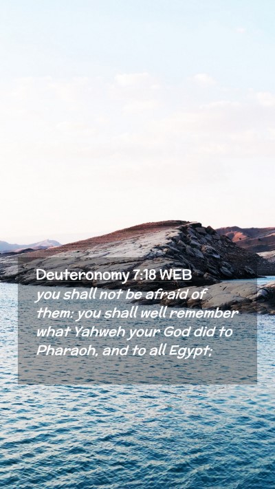 Picture 02 - Deuteronomy 7:18 WEB Mobile Phone Wallpaper - you shall not be afraid of them: you shall well - Mobile Bible Verse Wallpaper