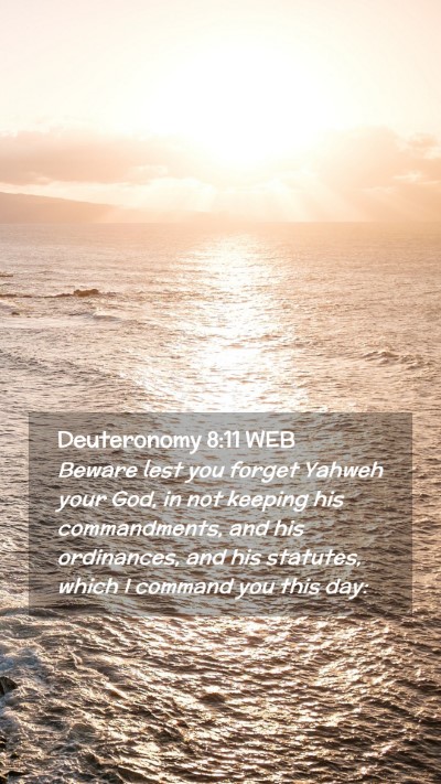 Picture 02 - Deuteronomy 8:11 WEB Mobile Phone Wallpaper - Beware lest you forget Yahweh your God, in not - Mobile Bible Verse Wallpaper