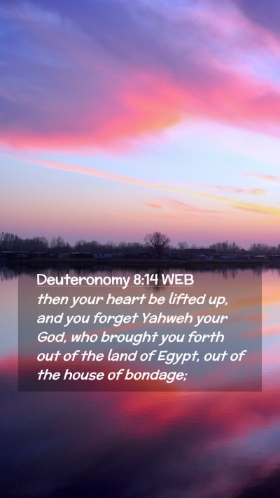 Picture 02 - Deuteronomy 8:14 WEB Mobile Phone Wallpaper - then your heart be lifted up, and you forget - Mobile Bible Verse Wallpaper
