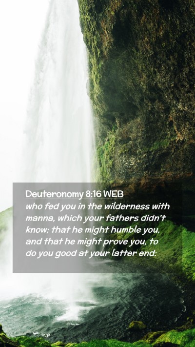 Picture 02 - Deuteronomy 8:16 WEB Mobile Phone Wallpaper - who fed you in the wilderness with manna, which - Mobile Bible Verse Wallpaper