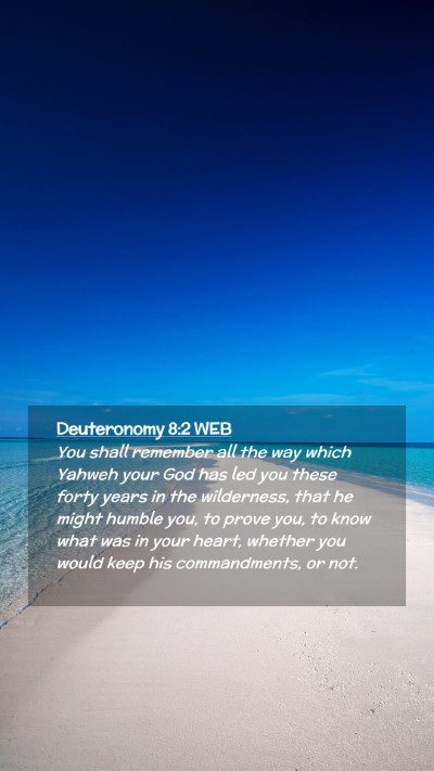 Picture 02 - Deuteronomy 8:2 WEB Mobile Phone Wallpaper - You shall remember all the way which Yahweh your - Mobile Bible Verse Wallpaper