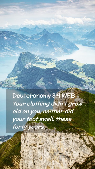 Picture 02 - Deuteronomy 8:4 WEB Mobile Phone Wallpaper - Your clothing didn't grow old on you, neither did - Mobile Bible Verse Wallpaper