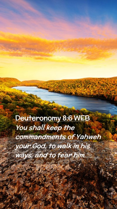 Picture 02 - Deuteronomy 8:6 WEB Mobile Phone Wallpaper - You shall keep the commandments of Yahweh your - Mobile Bible Verse Wallpaper