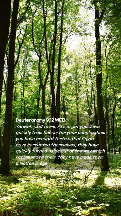 Picture 02 - Deuteronomy 9:12 WEB Mobile Phone Wallpaper - Yahweh said to me, Arise, get you down quickly - Mobile Bible Verse Wallpaper