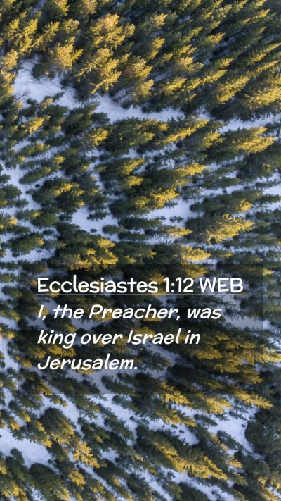 Picture 02 - Ecclesiastes 1:12 WEB Mobile Phone Wallpaper - I, the Preacher, was king over Israel in - Mobile Bible Verse Wallpaper