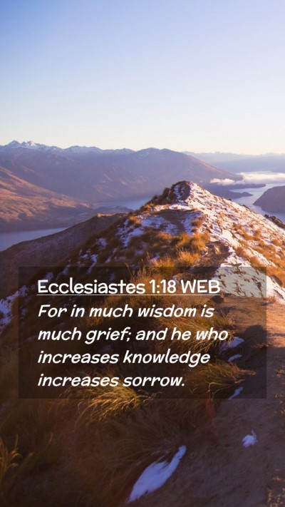 Picture 02 - Ecclesiastes 1:18 WEB Mobile Phone Wallpaper - For in much wisdom is much grief; and he who - Mobile Bible Verse Wallpaper
