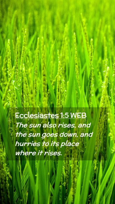 Picture 02 - Ecclesiastes 1:5 WEB Mobile Phone Wallpaper - The sun also rises, and the sun goes down, and - Mobile Bible Verse Wallpaper