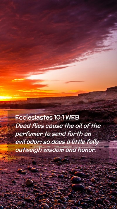 Picture 02 - Ecclesiastes 10:1 WEB Mobile Phone Wallpaper - Dead flies cause the oil of the perfumer to send - Mobile Bible Verse Wallpaper