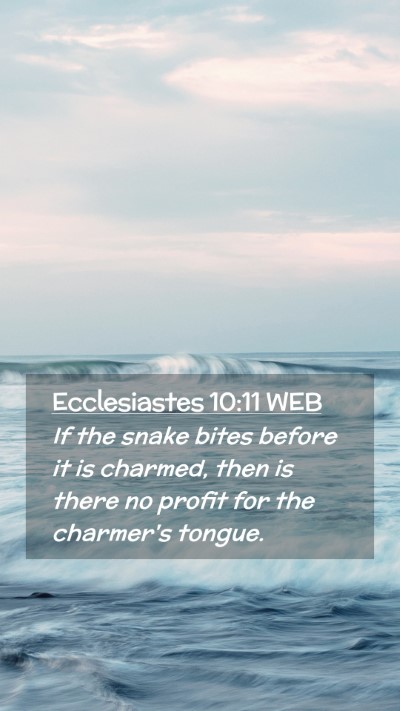 Picture 02 - Ecclesiastes 10:11 WEB Mobile Phone Wallpaper - If the snake bites before it is charmed, then is - Mobile Bible Verse Wallpaper
