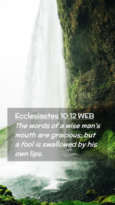 Picture 02 - Ecclesiastes 10:12 WEB Mobile Phone Wallpaper - The words of a wise man's mouth are gracious; but - Mobile Bible Verse Wallpaper