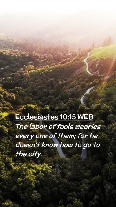 Picture 02 - Ecclesiastes 10:15 WEB Mobile Phone Wallpaper - The labor of fools wearies every one of them; for - Mobile Bible Verse Wallpaper