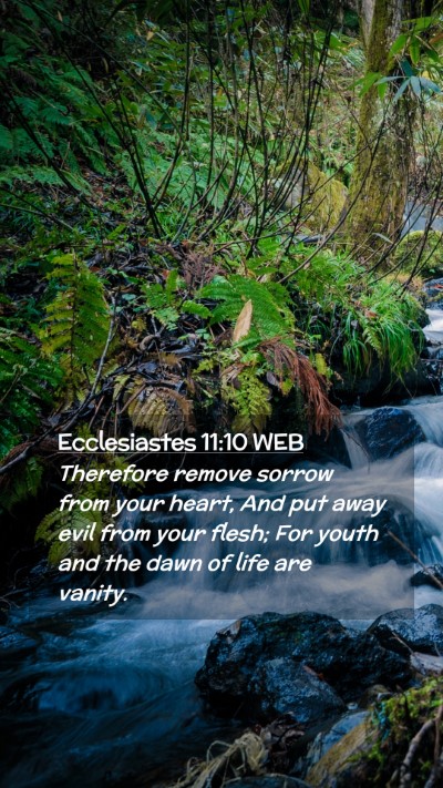 Picture 02 - Ecclesiastes 11:10 WEB Mobile Phone Wallpaper - Therefore remove sorrow from your heart, And put - Mobile Bible Verse Wallpaper