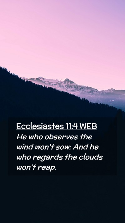 Picture 02 - Ecclesiastes 11:4 WEB Mobile Phone Wallpaper - He who observes the wind won't sow; And he who - Mobile Bible Verse Wallpaper