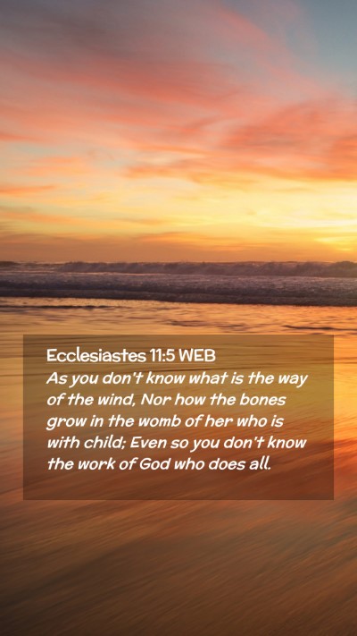 Picture 02 - Ecclesiastes 11:5 WEB Mobile Phone Wallpaper - As you don't know what is the way of the wind, - Mobile Bible Verse Wallpaper