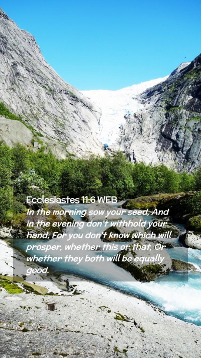 Picture 02 - Ecclesiastes 11:6 WEB Mobile Phone Wallpaper - In the morning sow your seed, And in the evening - Mobile Bible Verse Wallpaper