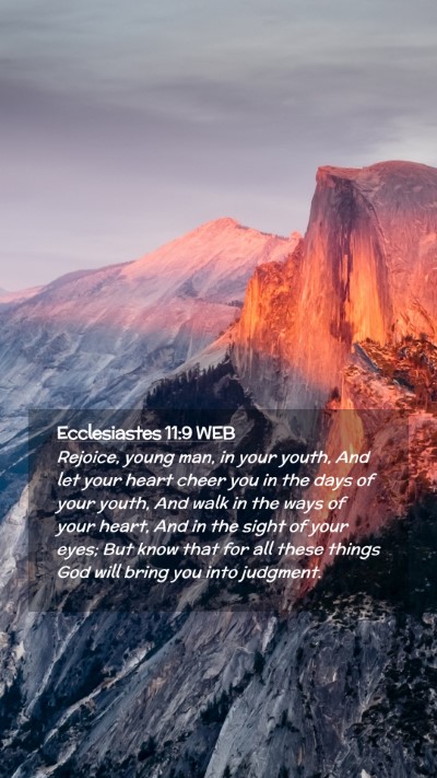 Picture 02 - Ecclesiastes 11:9 WEB Mobile Phone Wallpaper - Rejoice, young man, in your youth, And let your - Mobile Bible Verse Wallpaper