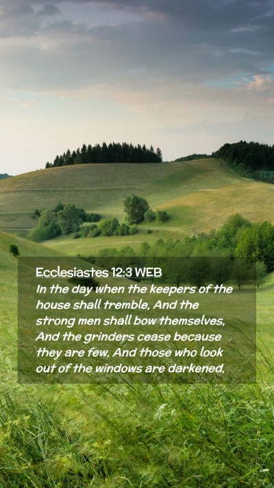 Picture 02 - Ecclesiastes 12:3 WEB Mobile Phone Wallpaper - In the day when the keepers of the house shall - Mobile Bible Verse Wallpaper