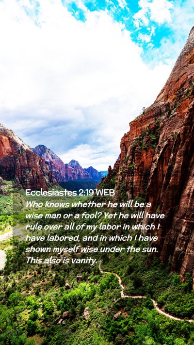 Picture 02 - Ecclesiastes 2:19 WEB Mobile Phone Wallpaper - Who knows whether he will be a wise man or a - Mobile Bible Verse Wallpaper
