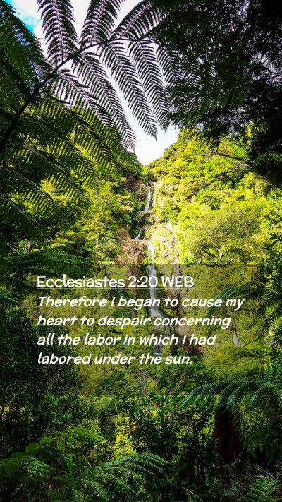 Picture 02 - Ecclesiastes 2:20 WEB Mobile Phone Wallpaper - Therefore I began to cause my heart to despair - Mobile Bible Verse Wallpaper