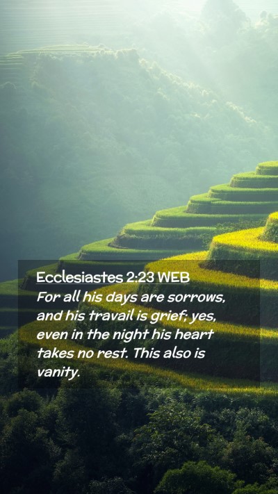 Picture 02 - Ecclesiastes 2:23 WEB Mobile Phone Wallpaper - For all his days are sorrows, and his travail is - Mobile Bible Verse Wallpaper