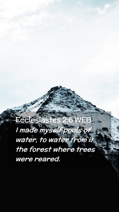 Picture 02 - Ecclesiastes 2:6 WEB Mobile Phone Wallpaper - I made myself pools of water, to water from it - Mobile Bible Verse Wallpaper