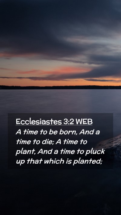 Picture 02 - Ecclesiastes 3:2 WEB Mobile Phone Wallpaper - A time to be born, And a time to die; A time to - Mobile Bible Verse Wallpaper