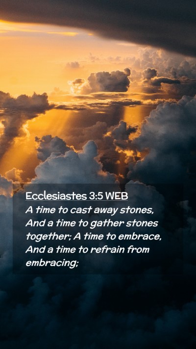 Picture 02 - Ecclesiastes 3:5 WEB Mobile Phone Wallpaper - A time to cast away stones, And a time to gather - Mobile Bible Verse Wallpaper