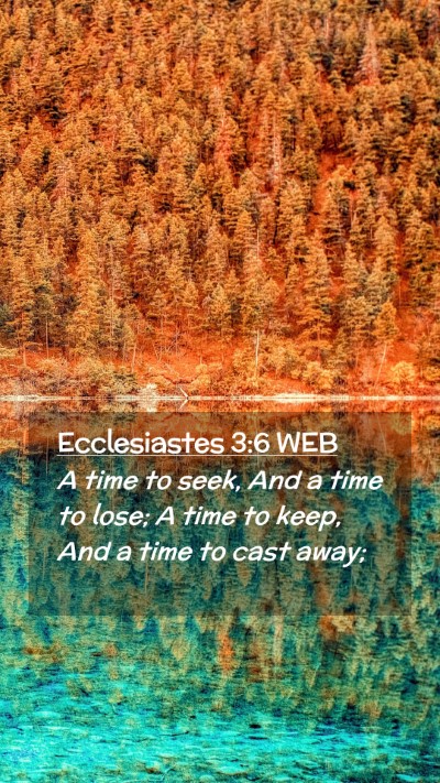 Picture 02 - Ecclesiastes 3:6 WEB Mobile Phone Wallpaper - A time to seek, And a time to lose; A time to - Mobile Bible Verse Wallpaper