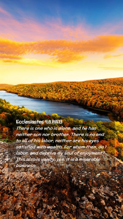 Picture 02 - Ecclesiastes 4:8 WEB Mobile Phone Wallpaper - There is one who is alone, and he has neither son - Mobile Bible Verse Wallpaper