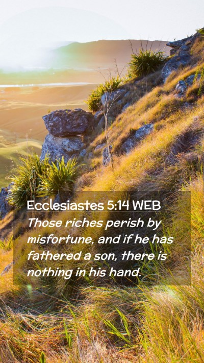 Picture 02 - Ecclesiastes 5:14 WEB Mobile Phone Wallpaper - Those riches perish by misfortune, and if he has - Mobile Bible Verse Wallpaper