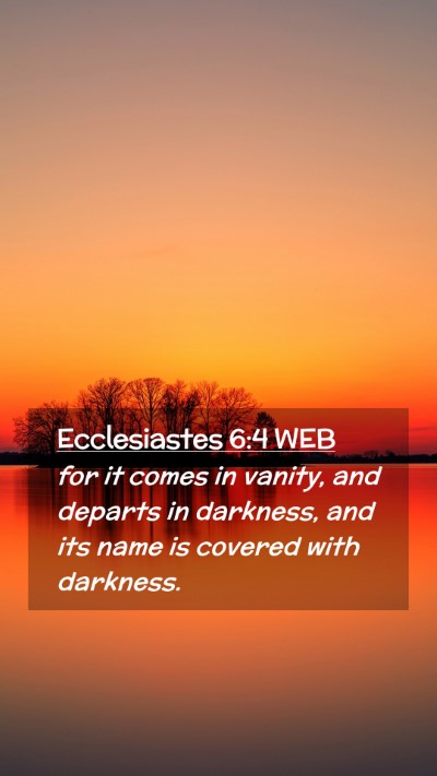 Picture 02 - Ecclesiastes 6:4 WEB Mobile Phone Wallpaper - for it comes in vanity, and departs in darkness, - Mobile Bible Verse Wallpaper
