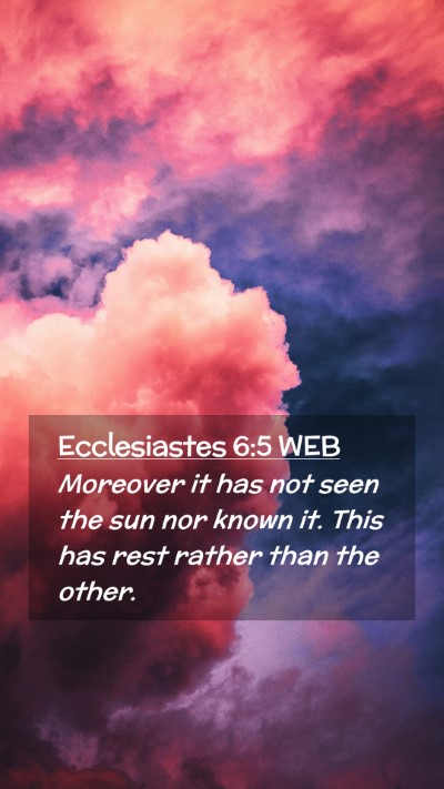 Picture 02 - Ecclesiastes 6:5 WEB Mobile Phone Wallpaper - Moreover it has not seen the sun nor known it. - Mobile Bible Verse Wallpaper