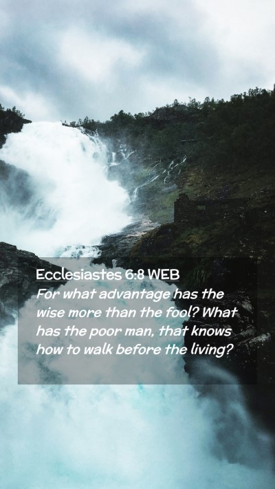Picture 02 - Ecclesiastes 6:8 WEB Mobile Phone Wallpaper - For what advantage has the wise more than the - Mobile Bible Verse Wallpaper