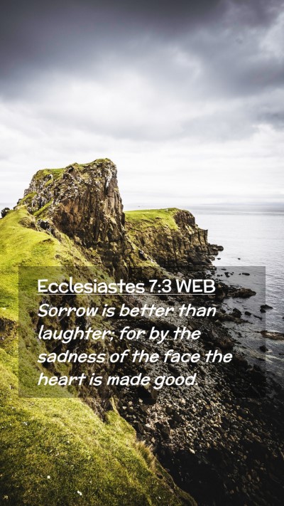 Picture 02 - Ecclesiastes 7:3 WEB Mobile Phone Wallpaper - Sorrow is better than laughter; for by the - Mobile Bible Verse Wallpaper