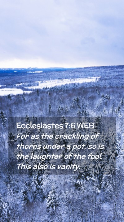 Picture 02 - Ecclesiastes 7:6 WEB Mobile Phone Wallpaper - For as the crackling of thorns under a pot, so is - Mobile Bible Verse Wallpaper