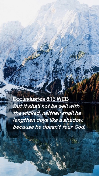 Picture 02 - Ecclesiastes 8:13 WEB Mobile Phone Wallpaper - But it shall not be well with the wicked, neither - Mobile Bible Verse Wallpaper