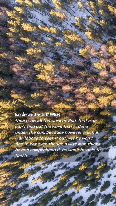 Picture 02 - Ecclesiastes 8:17 WEB Mobile Phone Wallpaper - then I saw all the work of God, that man can't - Mobile Bible Verse Wallpaper