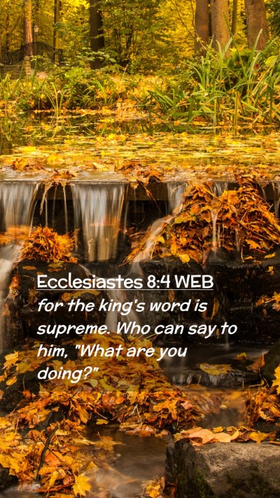 Picture 02 - Ecclesiastes 8:4 WEB Mobile Phone Wallpaper - for the king's word is supreme. Who can say to - Mobile Bible Verse Wallpaper