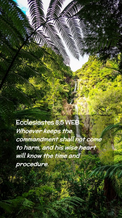 Picture 02 - Ecclesiastes 8:5 WEB Mobile Phone Wallpaper - Whoever keeps the commandment shall not come to - Mobile Bible Verse Wallpaper